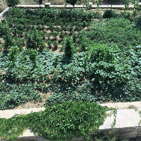 Ada * Yenice (Mugla)